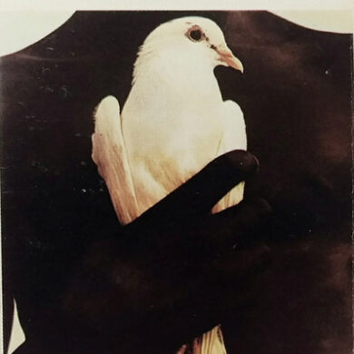 Santana - Santana's Greatest Hits