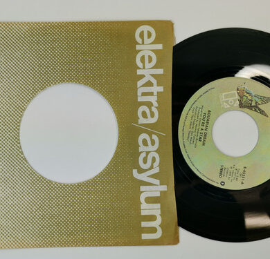 Aquarian Dream - You're A Star