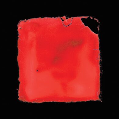 SALVIA PALTH - LAST CHANCE TO SEE