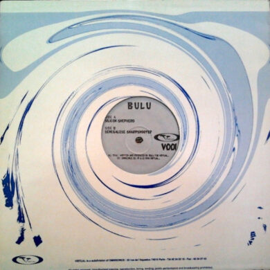 BùLù - Silicon-Shepherd / Senegalese-Sharpshooter