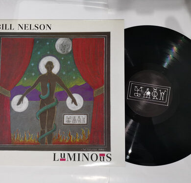 Bill Nelson - Luminous