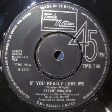 Stevie Wonder - If You Really Love Me