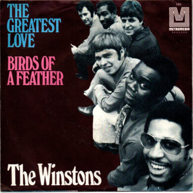 The Winstons - The Greatest Love / Birds Of A Feather