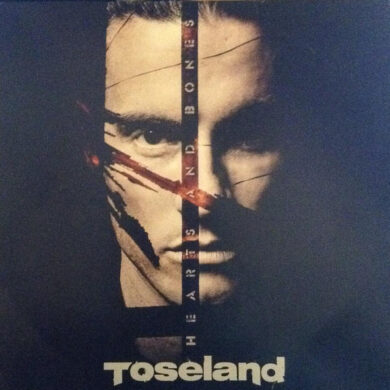 Toseland - Hearts And Bones