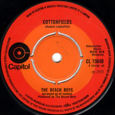 The Beach Boys - Cottonfields
