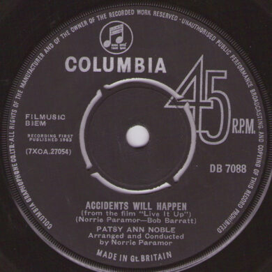 Patsy Ann Noble - Accidents Will Happen