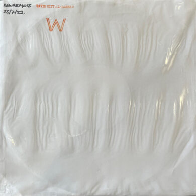 David Kitt - Till The End (X-Press 2 Remixes)