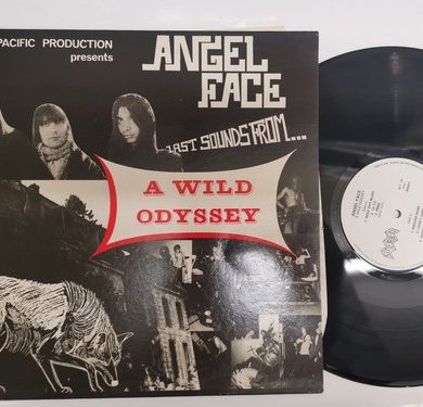 Angel Face - A Wild Odyssey