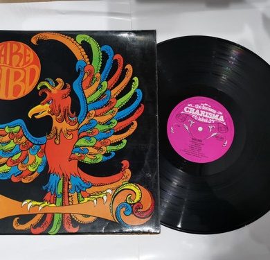 Rare Bird - Rare Bird