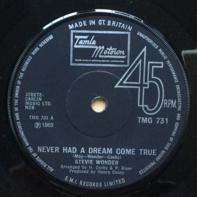 Stevie Wonder - Never Had A Dream Come True