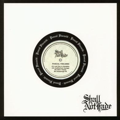 Pascal Viscardi - Last Day In Harajuku