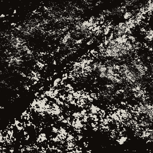 Mark Fell AND Rian Treanor - Last Exit To Chickenley - Image 2