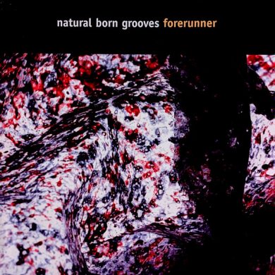 Natural Born Grooves - Forerunner