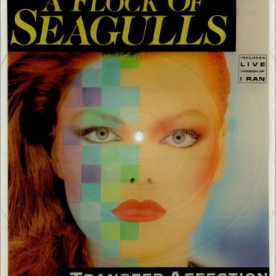 A Flock Of Seagulls - Transfer Affection