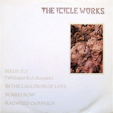 The Icicle Works - Birds Fly (Whisper To A Scream)