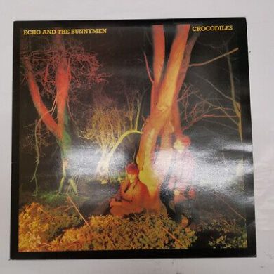 Echo And The Bunnymen - Crocodiles