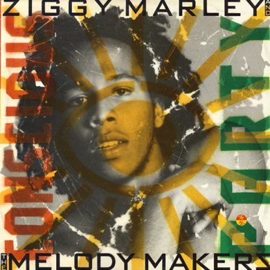 Ziggy Marley And The Melody Makers - Conscious Party