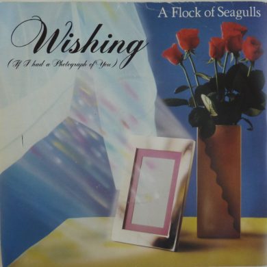 A Flock Of Seagulls - Wishing (If I Had A Photograph Of You)