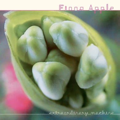 FIONA APPLE - EXTRAORDINARY MACHINE
