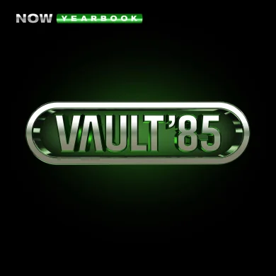 VARIOUS ARTISTS - NOW YEARBOOK - THE VAULT - 1985