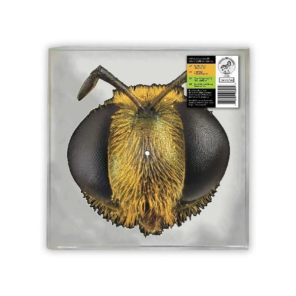 KING GIZZARD AND LIZARD WIZARD - BIG FIG WASP - Image 2