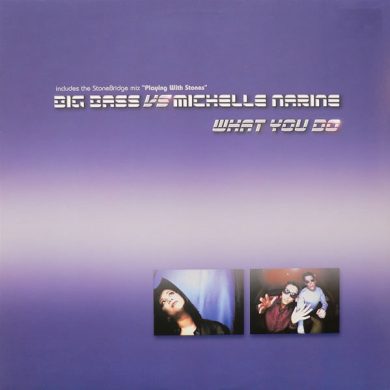 Big Bass, Michelle Narine - What You Do